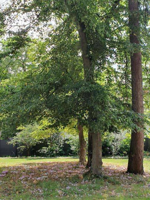 Propriete De Campagne Villa Vierzon Bagian luar foto