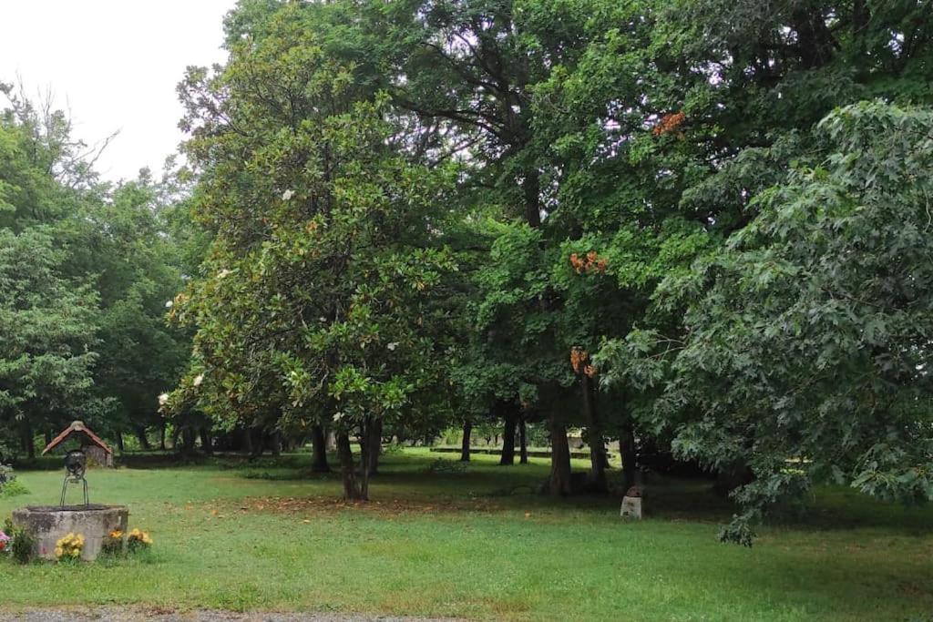 Propriete De Campagne Villa Vierzon Bagian luar foto