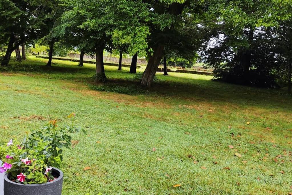 Propriete De Campagne Villa Vierzon Bagian luar foto