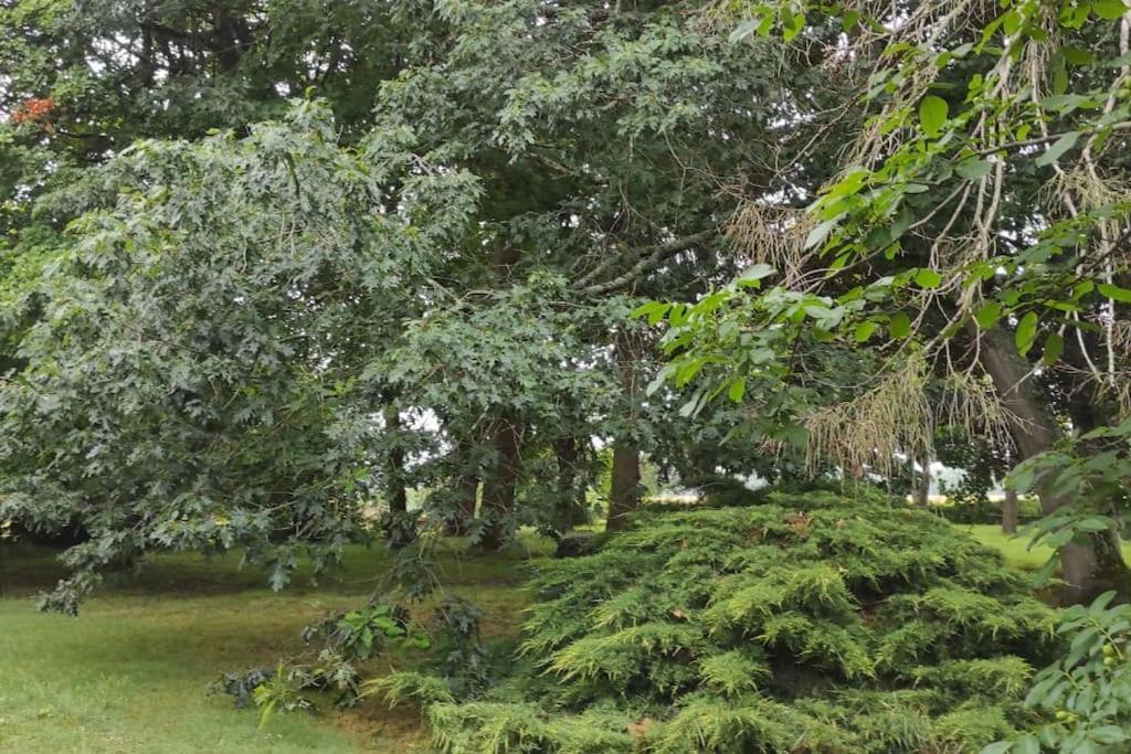 Propriete De Campagne Villa Vierzon Bagian luar foto