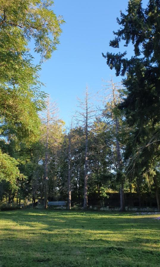 Propriete De Campagne Villa Vierzon Bagian luar foto